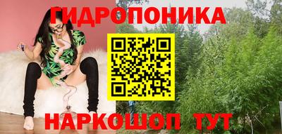 прущие крисы Гай