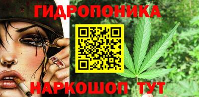 прущие крисы Гай